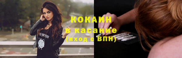 a pvp Дмитриев