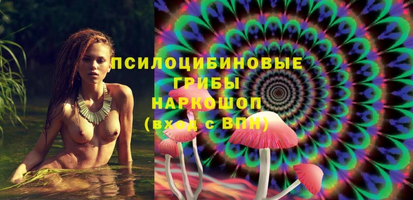 a pvp Дмитриев