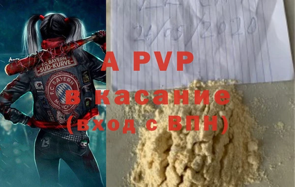 СК Билибино