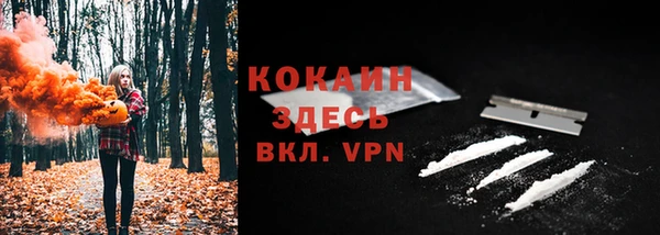 СК Билибино