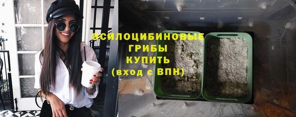 a pvp Дмитриев